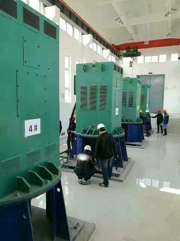 Y6303-10某污水处理厂使用我厂的立式高压电机安装现场