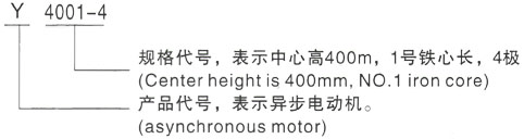 西安泰富西玛Y系列(H355-1000)高压Y6303-10三相异步电机型号说明